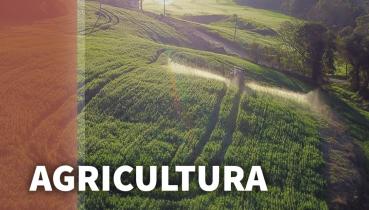 Resumo de trabalhos - AGRICULTURA, MEIO AMBIENTE E DESENVOLVIMENTO RURAL
